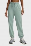 Брюки Under Armour UA RIVAL TERRY JOGGER 1382735-348 р. L мятный Брюки Under Armour UA RIVAL TERRY JOGGER 1382735-348 р. L мятный
