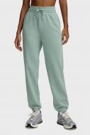 Штани Under Armour UA RIVAL TERRY JOGGER 1382735-348 р. S-M м'ятний