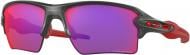 Солнцезащитные очки Oakley FLAK 2.0 XL Prizm road Lenses (91880459)