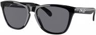 Сонцезахисні окуляри Oakley Frogskins grey Lenses (24-30655)