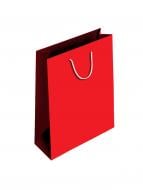 Пакет паперовий фоновий 350x245x90 мм червоний 485С ПБС