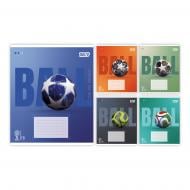 Зошит шкільний Ball 12 арк. клітинка 768676 YES