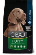 Корм сухой для щенков для крупных пород Farmina Cibau Puppy Maxi с курицей 12 кг