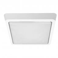 ВИТРИНА! Светильник светодиодный Luminaria S225 20 Вт белый 5500 К DLS 20W