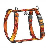 Шлейка анатомическая Waudog Nylon рисунок "Скорость Флэша" XL Ш25 мм А 60-100 см В 68-100