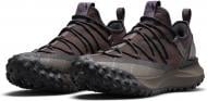 Кроссовки мужские демисезонные Nike ACG MOUNTAIN FLY LOW DC9045-200 р.48,5 коричневые