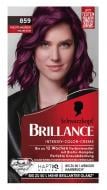Краска для волос Brillance 859 благородный аметист 170 мл