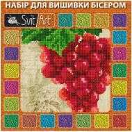Набор для вышивания бисером TX-053a 170х170 SvitArt
