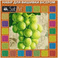 Набор для вышивания бисером TX-053c 170х170 SvitArt Набор для вышивания бисером TX-053c 170х170 SvitArt