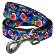 Поводок Waudog Nylon рисунок "Инжир" М Ш20 мм Д200 см