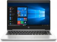 Ноутбук HP ProBook 445 G7 14 (7RX17AV_V8) silver