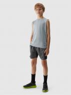 Шорты 4F SHORTS FNK M485 / SPODENKI FNK M485 4FJWSS24TFSHM485-20S р. 146-152 серый