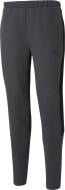 Брюки Puma EVOSTRIPE CORE PANTS 58581407 р. XL серый