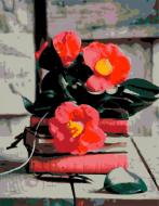 Картина за номерами стандарт акриловий живопис за номерами Гармонія Rosa Start