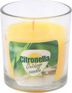 Свеча ароматическая Koopman с цитронелой для защиты от летающих насекомых в стакане (A87300120)