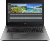 Ноутбук HP ZBook G6 17,3 (6CK22AV_V16) silver