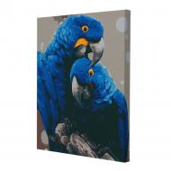 Набор для росписи по номерам Riviera Blanca Гиацинтовые ара RB-0001