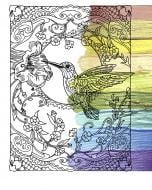 Набор для росписи по номерам Riviera Blanca Колибри RB-0614