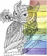 Набор для росписи Riviera Blanca Сова с ключом 40х50 см RB-0613