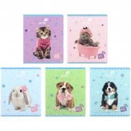 Тетрадь Studio Pets 24 лист. клетка SP26-238 KITE