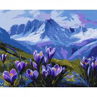 Картина по номерам Горные цветы 40х50 см Santi