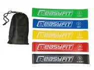 Резинка для фитнеса EasyFit 5 шт. (EF5RZ) разноцветный