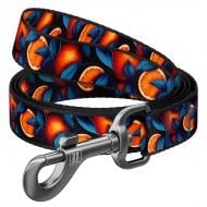 Поводок Waudog Nylon рисунок "Апельсины" S Ш15 мм Д122 см