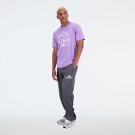 Футболка New Balance HOOPS GRAPHIC MT31586TWI р.L фиолетовый