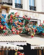 Картина по номерам Цветы на фасаде BS53429 40x50 см Brushme