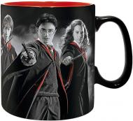 Чашка FSD Abystyle Harry Potter - Harry Ron Hermione Mug 320 ml (ABYMUG300)