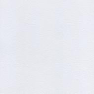 Столешница LuxeForm L016 Платиновый Белый Престиж влагостойкая 4200x600x38 мм