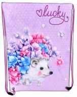 Сумка для взуття CLASS Lucky 46x33 см 2233С