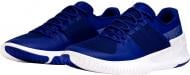 Кроссовки мужские Under Armour UA_Ultimate_Speed 3000329-500 р.47,5 синие