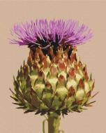 Картина по номерам Цветок артишока BS53352 40x50 см Brushme