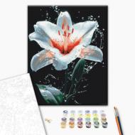 Картина по номерам Сияние лилии 40x50 см Brushme Картина по номерам Сияние лилии 40x50 см Brushme