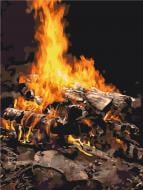 Картина по номерам Костер RBS21741 30x40 см Brushme