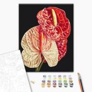 Картина за номерами Антуріум ©Anastasiia Osmolovska 40x50 см Brushme Картина за номерами Антуріум ©Anastasiia Osmolovska 40x50 см Brushme