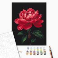 Картина по номерам Пионы в сиянии росы 40x50 см Brushme