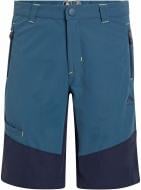 Шорты McKinley Aaron Boy 427252-509 р. 140 синий