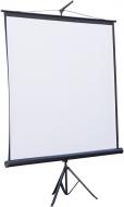 Экран проекционный ATRIA мобильный на треноге 120'' (4:3) 244x183 см (TRM-NTSC-120D)