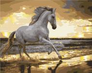 Картина за номерами Біг риссю на узбережжі BS53329 40x50 см Brushme Картина за номерами Біг риссю на узбережжі BS53329 40x50 см Brushme