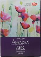 Папка для акварелі серія «Квіти»  A3 29,7х42 см 200 г/м² 10 сторінок ROSA