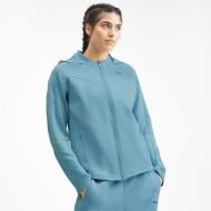 Джемпер Puma EVOSTRIPE FZ Hoody 58006045 р. XS синий