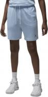 Шорты Nike Jordan Sport FN5816-441 р. L голубой