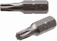 Біта Expert Fix Torx 25x25 мм 2 шт. 40114154