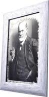 Репродукция Sigmund Freud №1784 в раме за состаренным зеркалом 28x38 см SEAPS