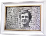 Репродукция Владимир Безсонов №1733 в раме за состаренным зеркалом 28x38 см SEAPS