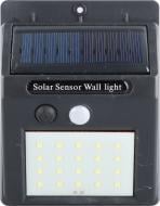 Світильник на сонячній батареї Expert IP44 чорний із білим ELLP-3030H-25