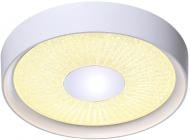 Светильник светодиодный Victoria Lighting с пультом ДУ 24 Вт белый 3000-6500 К Nancy/PL24