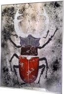 Картина на зеркале Жук-олень с камнями №3321А 82x62 см SEAPS